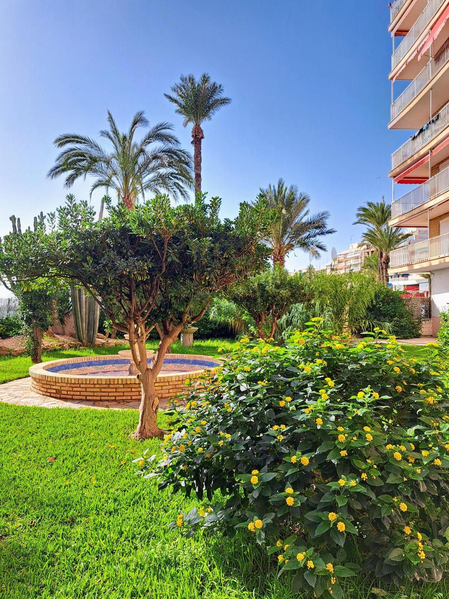 Garden Beach Apartment Torrevieja Dış mekan fotoğraf