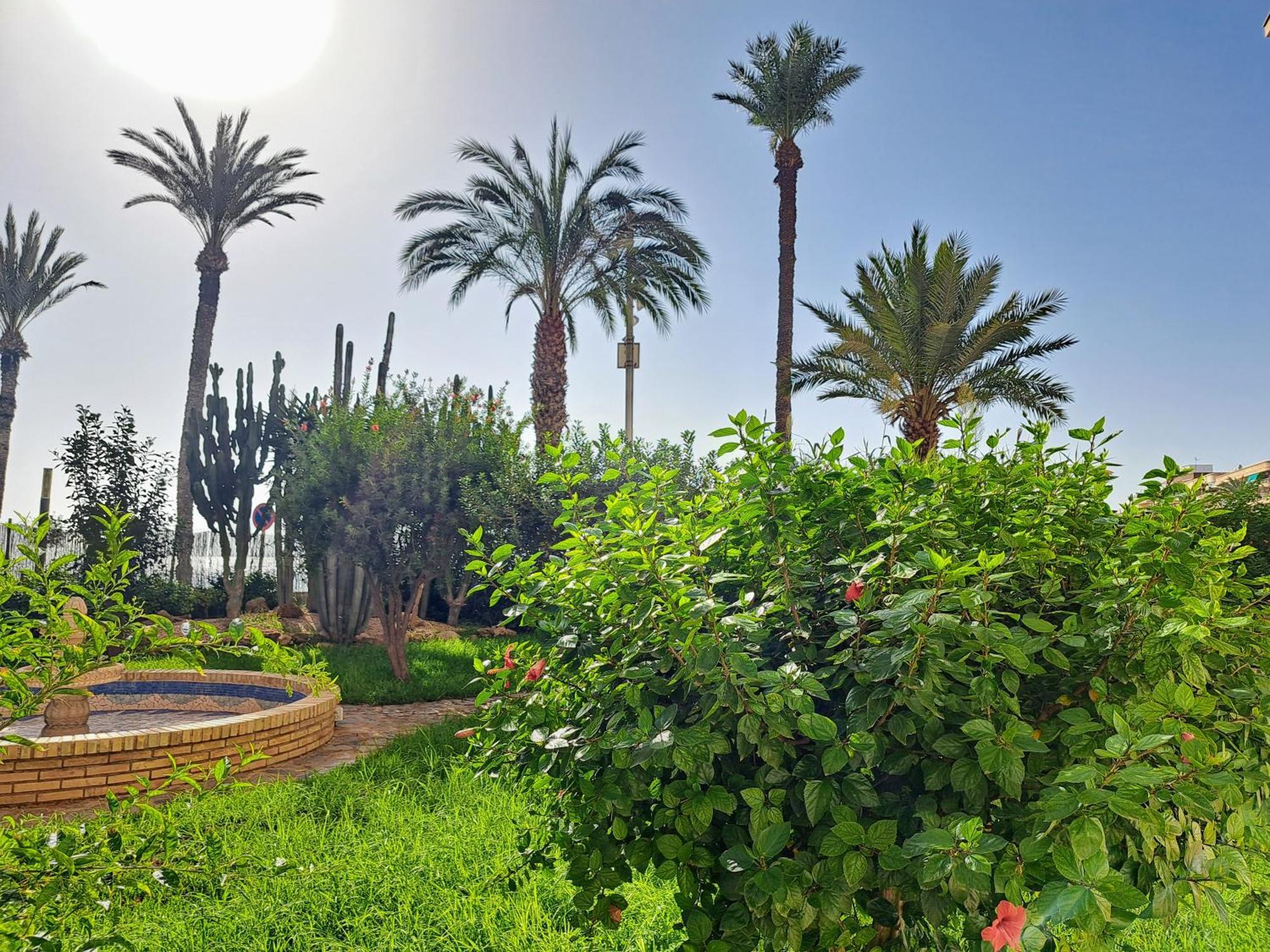 Garden Beach Apartment Torrevieja Dış mekan fotoğraf